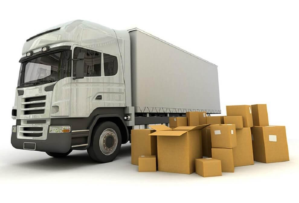 هاف لوري قط اغراض هاف لوري قط اغراض